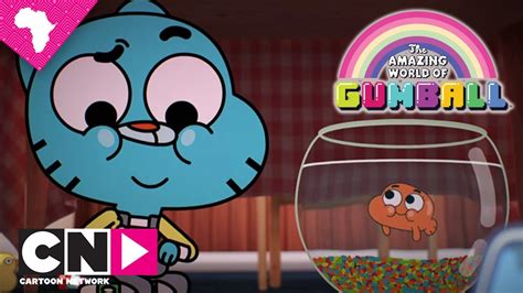 darwin gumball|gumball and darwin full episode.